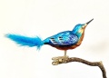 Eisvogel