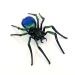 Spinne schwarz/grün  NEU!