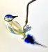 Blaumeise gedrehter Kopf