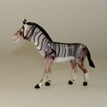 Zebra mittelgr.